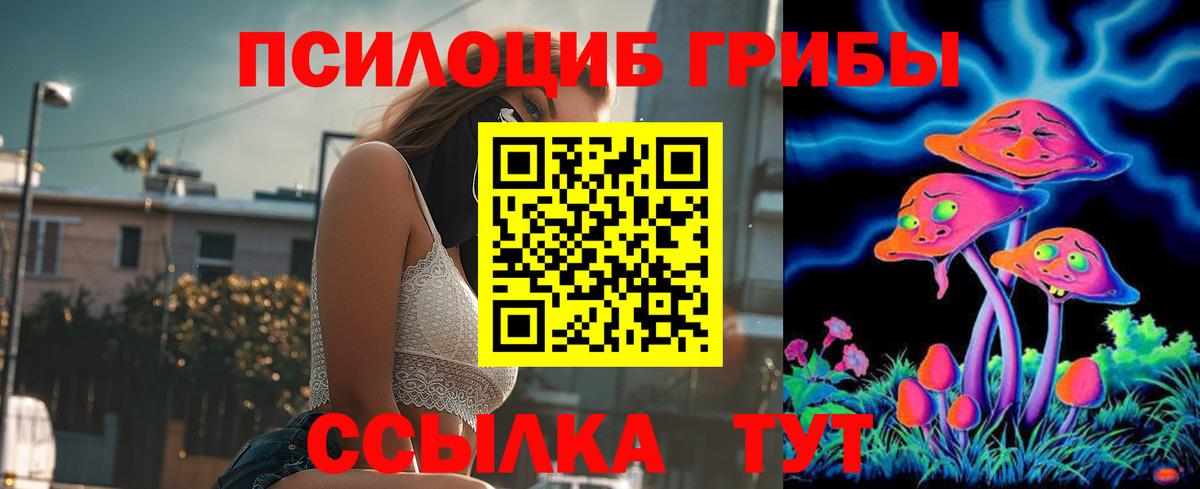 Псилоцибиновые грибы Cubensis  Галлюциногенные грибы MAGIC MUSHROOMS  Кулебаки  Вход с VPN 